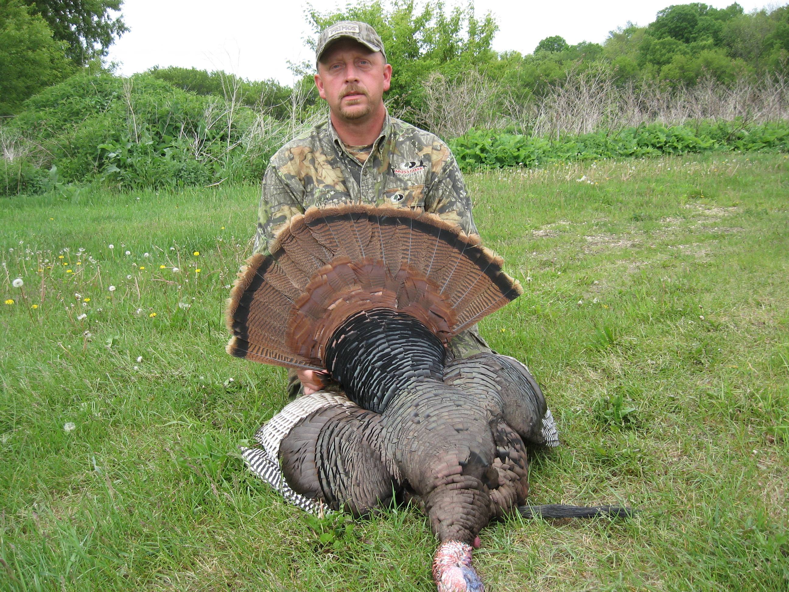 Perry Peterson Takes 2nd Largest Eastern Gobbler on Record Hunting
