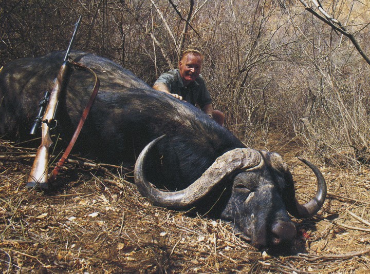 1993 Cape buffalo Tanzania