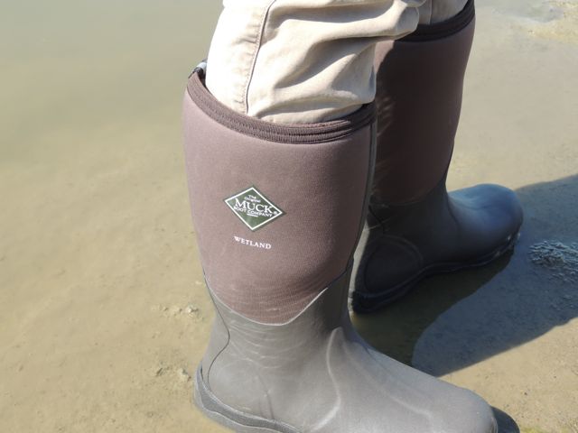 Review of Muck Boots: Women's Wetlands, Women's Premium Field Boot ...