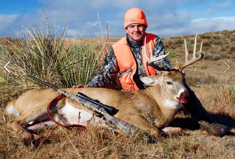 Tips Tactics and Gear for Whitetail Hunting