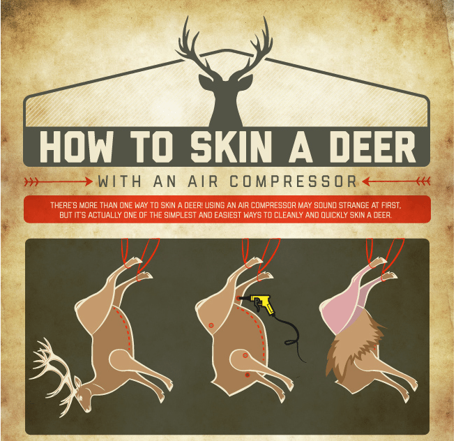 Skin a Deer