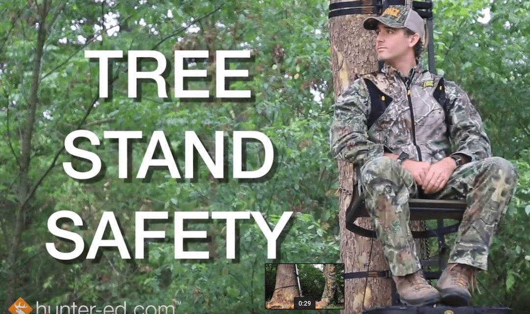 Tree Stand Safety