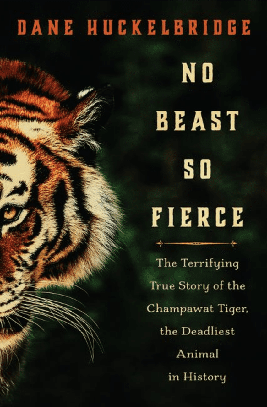 Tiger Hunting | No Beast So Fierce