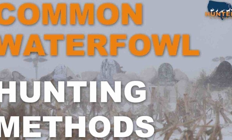 Common Waterfowl Hunting Methods