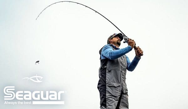 Seaguar Hookpoints – Heavy Cover Swim Jig  Advanced Angler::Bass Fishing  News::Bassmaster::Major League Fishing