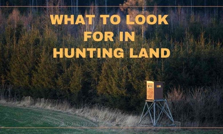 Hunting Land