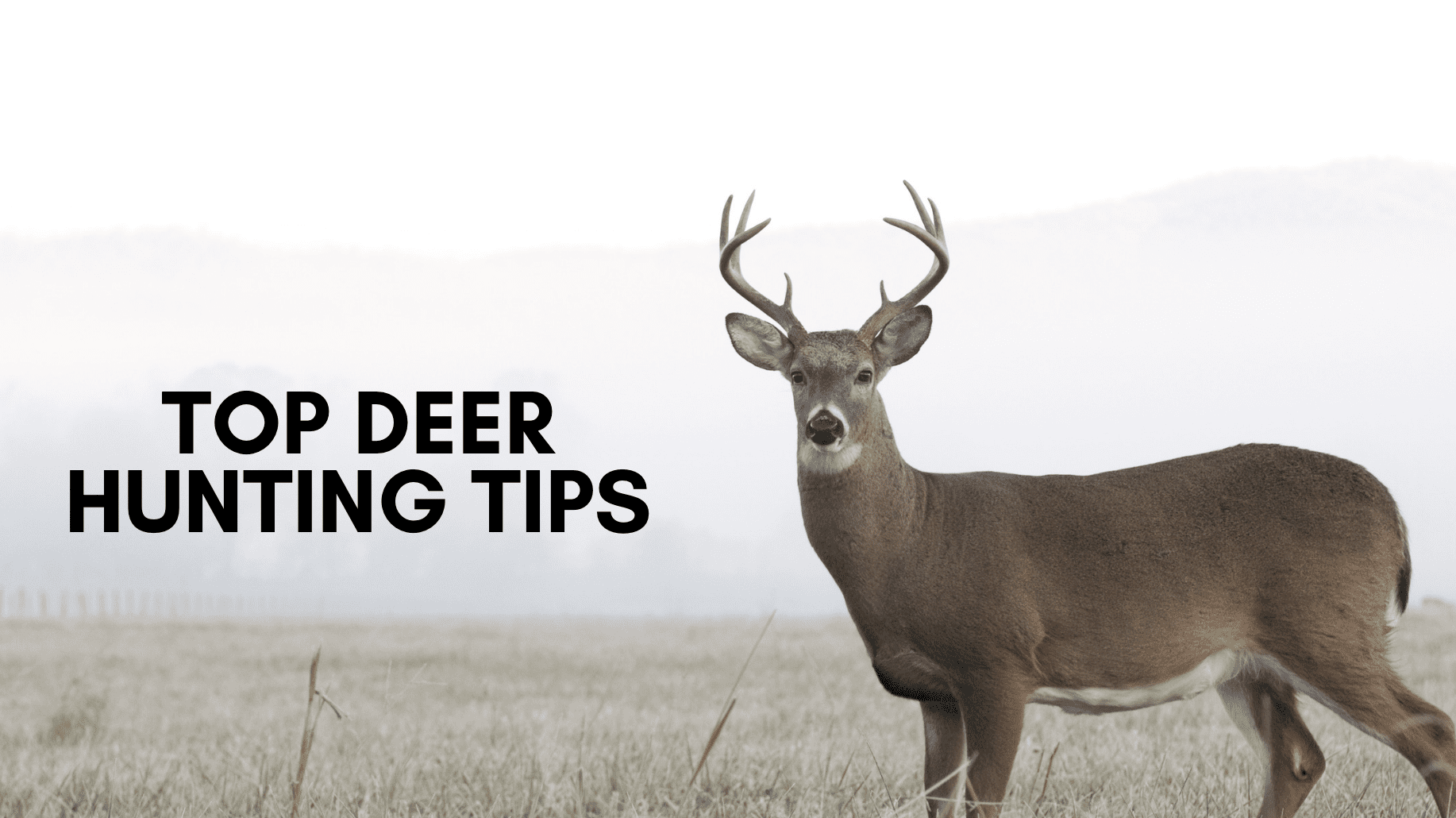 Top Deer Hunting Tips