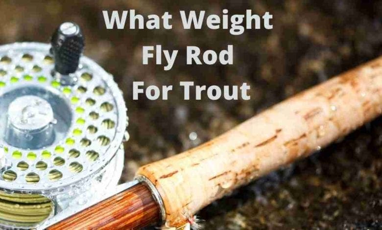 What Weight Fly Rod For Trout