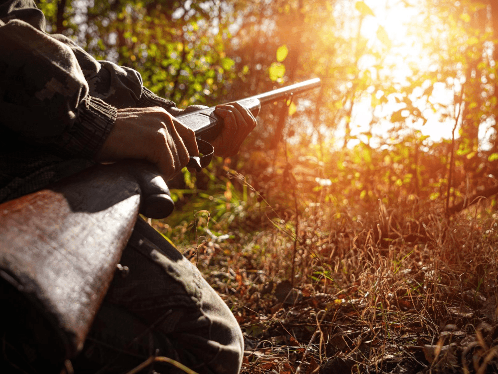 Realtree United Country Land Pros Expect Spike in Hunting Season