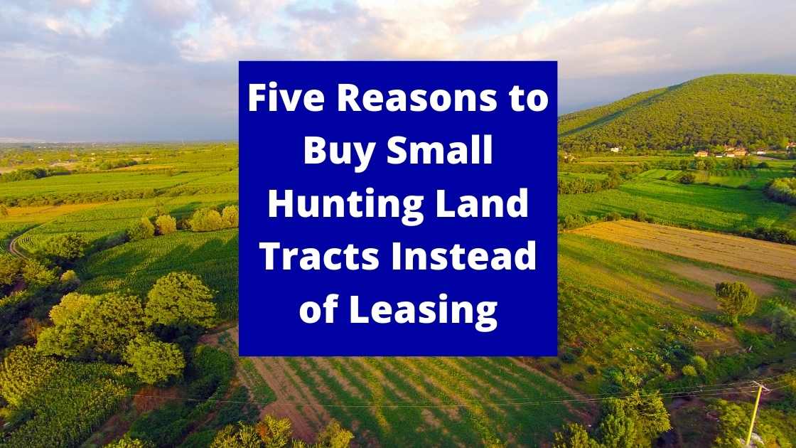 Five Reasons to Buy Small Hunting Land Tracts Instead of Leasing