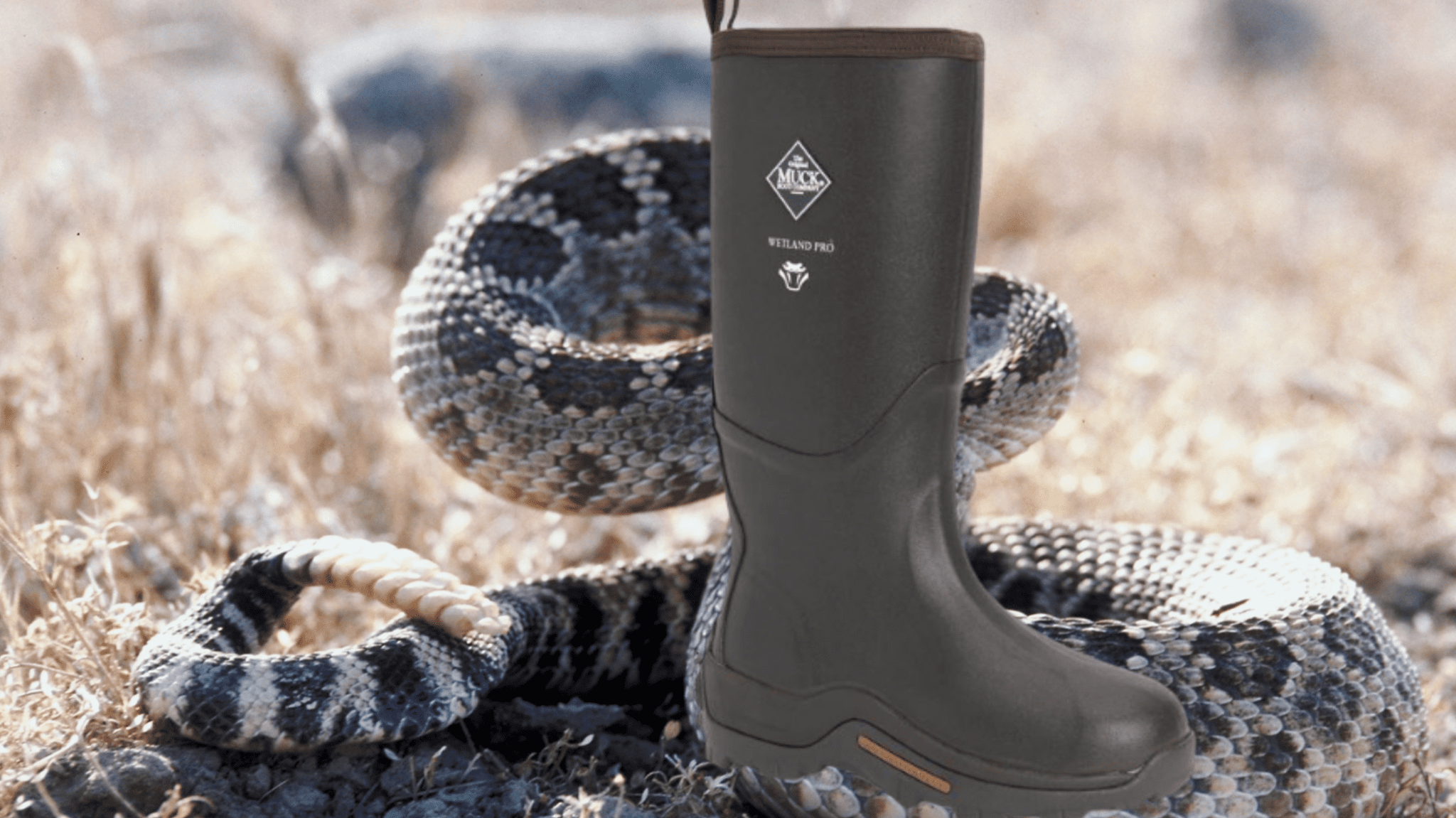 steel toe snake proof boots