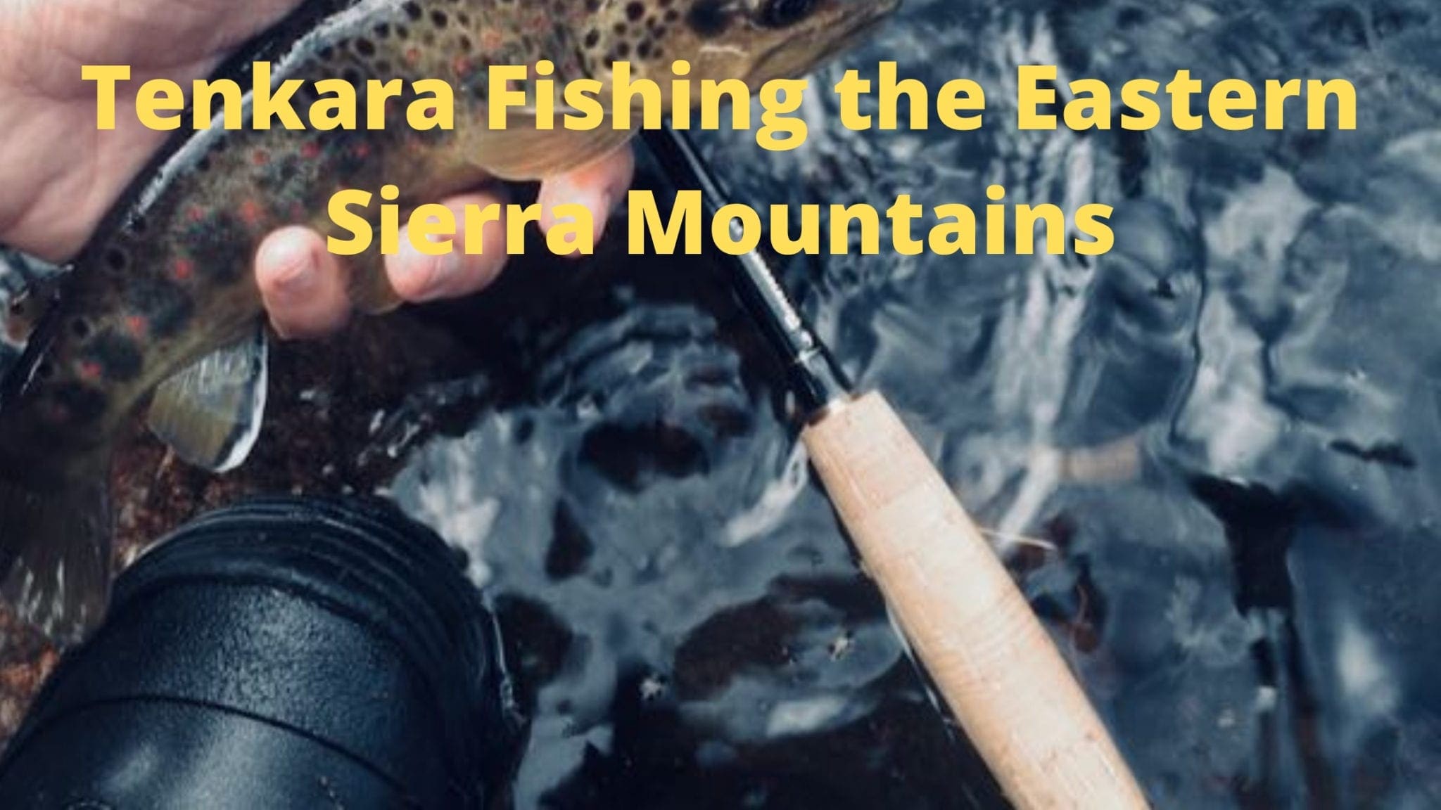 Tenkara Fishing the Eastern Sierra Mountains