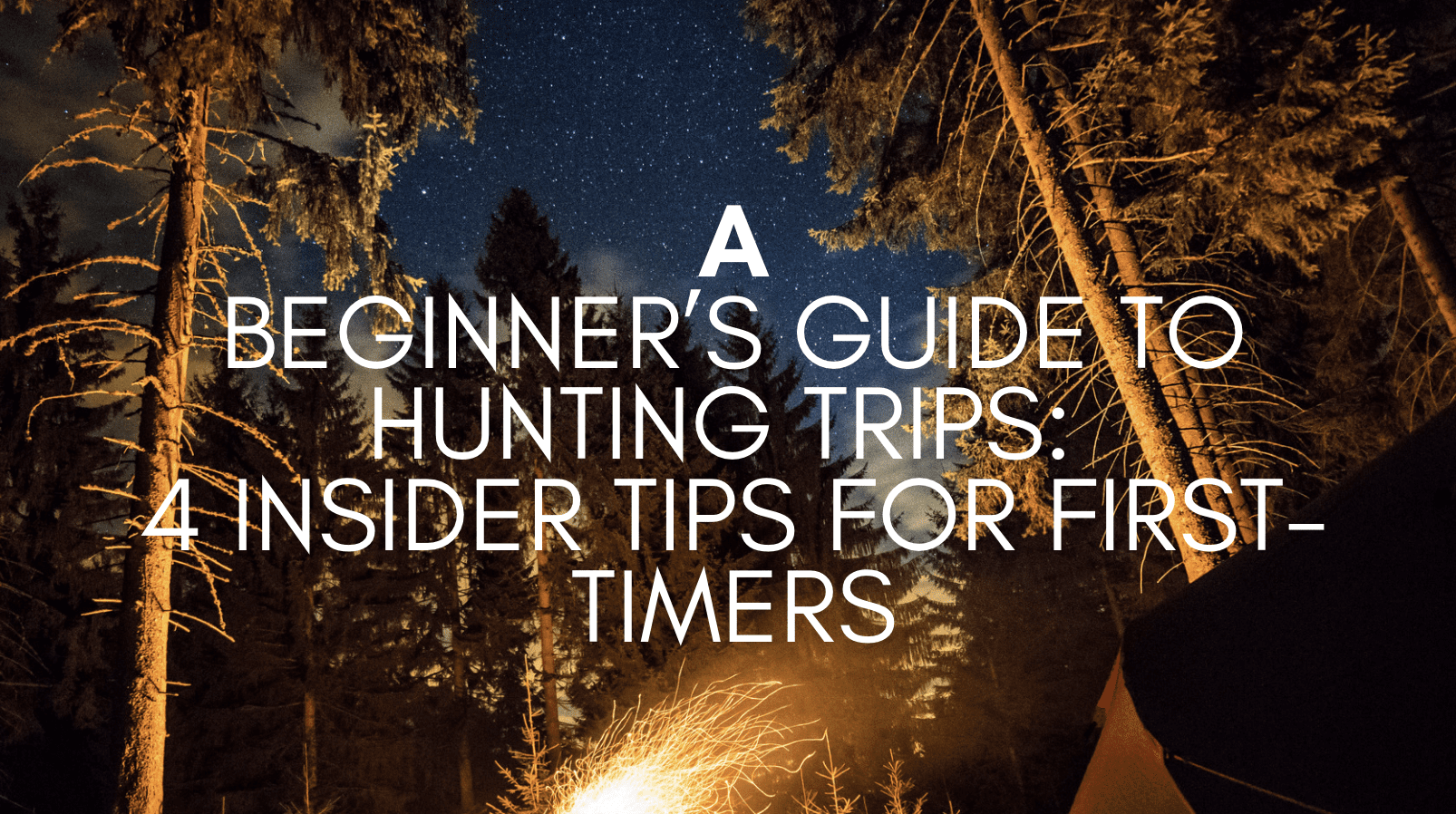 A Beginner’s Guide to Hunting Trips 4 Insider Tips for FirstTimers