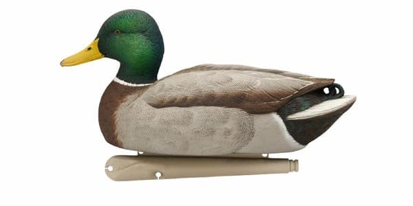 6 Pack Details about   Avianx Top Flight Wood Duck Floater Decoy Brown One Size 