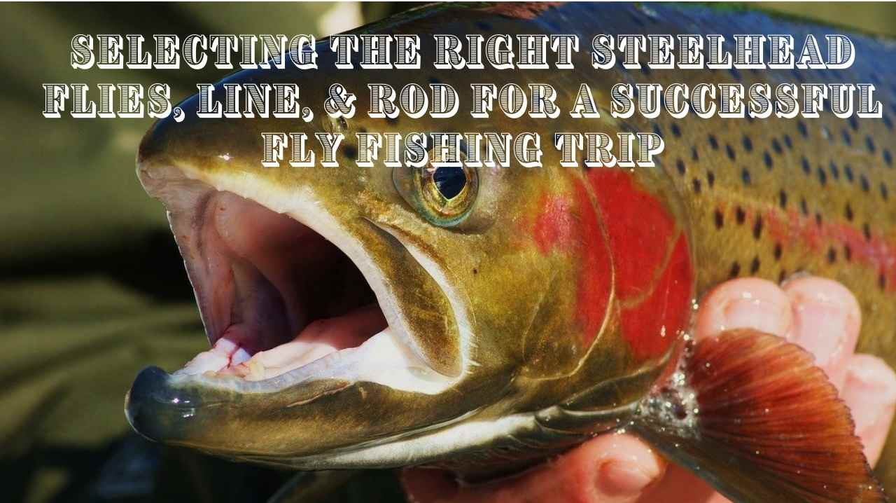 How to Select the Right Steelhead Flies, Line, & Rod for a Successful Fly  Fishing Trip