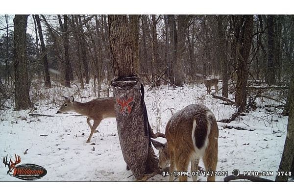 wild game innovations camera wifi