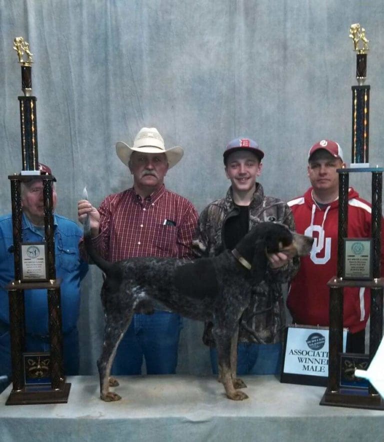 A Coon Hunt to Remember Hunting and Fishing News & Blog Articles