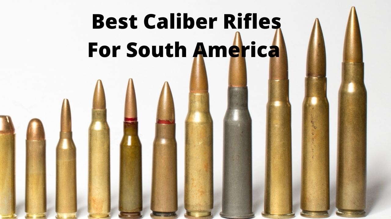 Best Caliber Rifles For South America