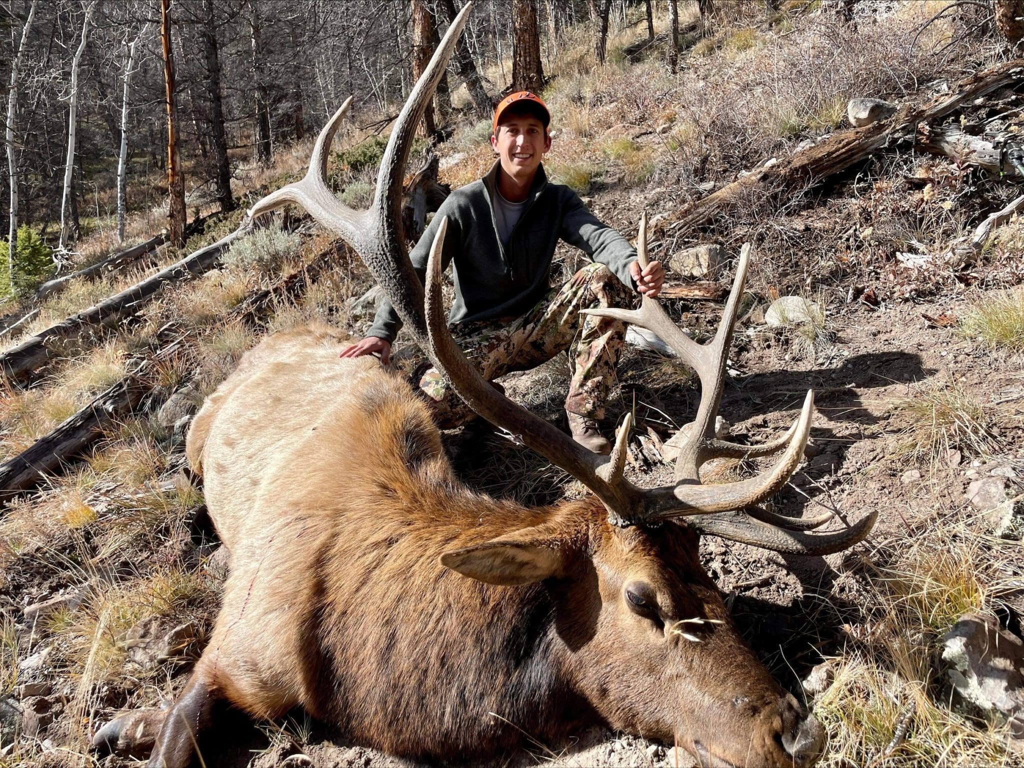 Your Introduction to a Colorado DIY Public Lands Bull Elk Hunt