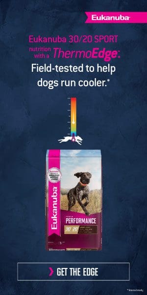 Eukanuba 30/20 SPORT nutrition with a ThermoEdge. Field-tested to help dogs run cooler.*| Get The Edge