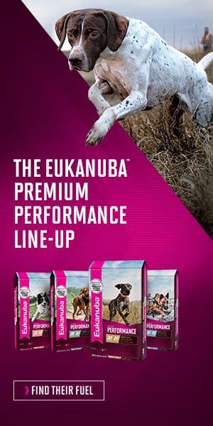 Eukanuba Sporting Dog Food Ad