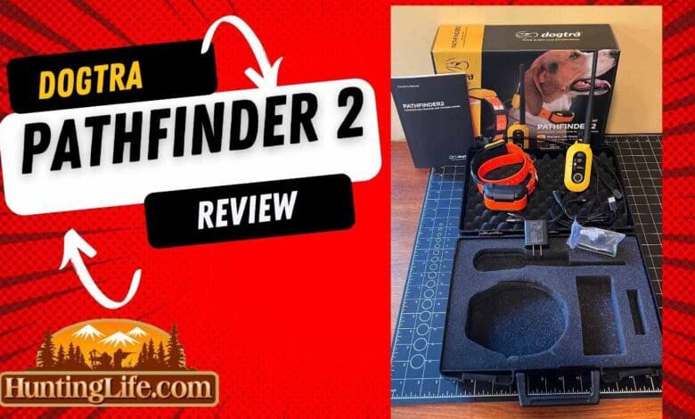 Dogtra Pathfinder 2 Review