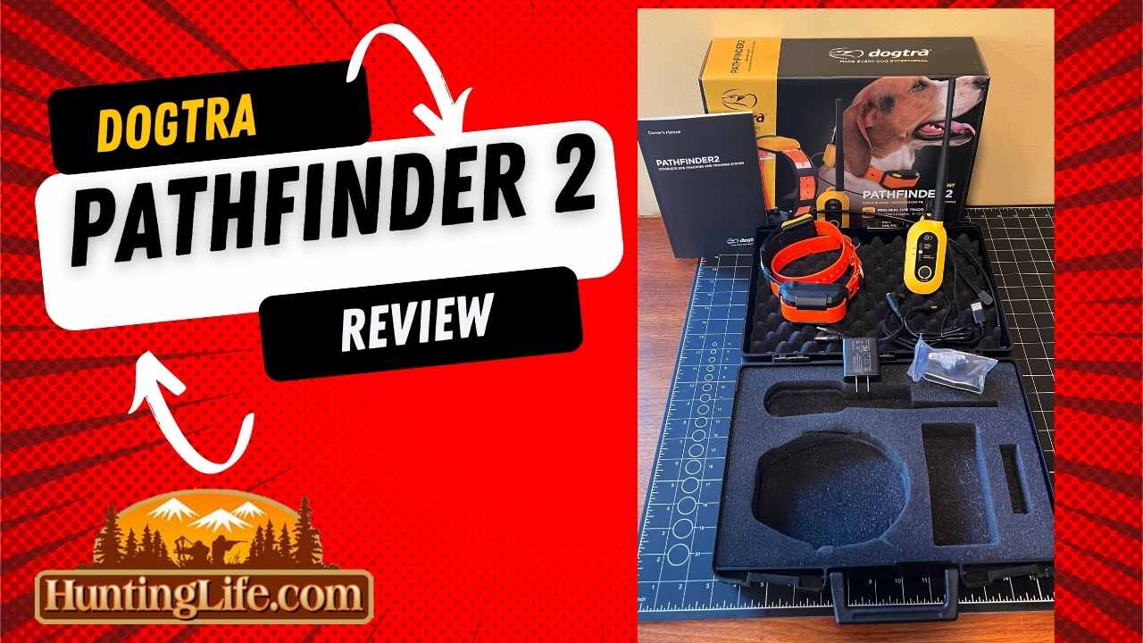 Dogtra Pathfinder 2 Review