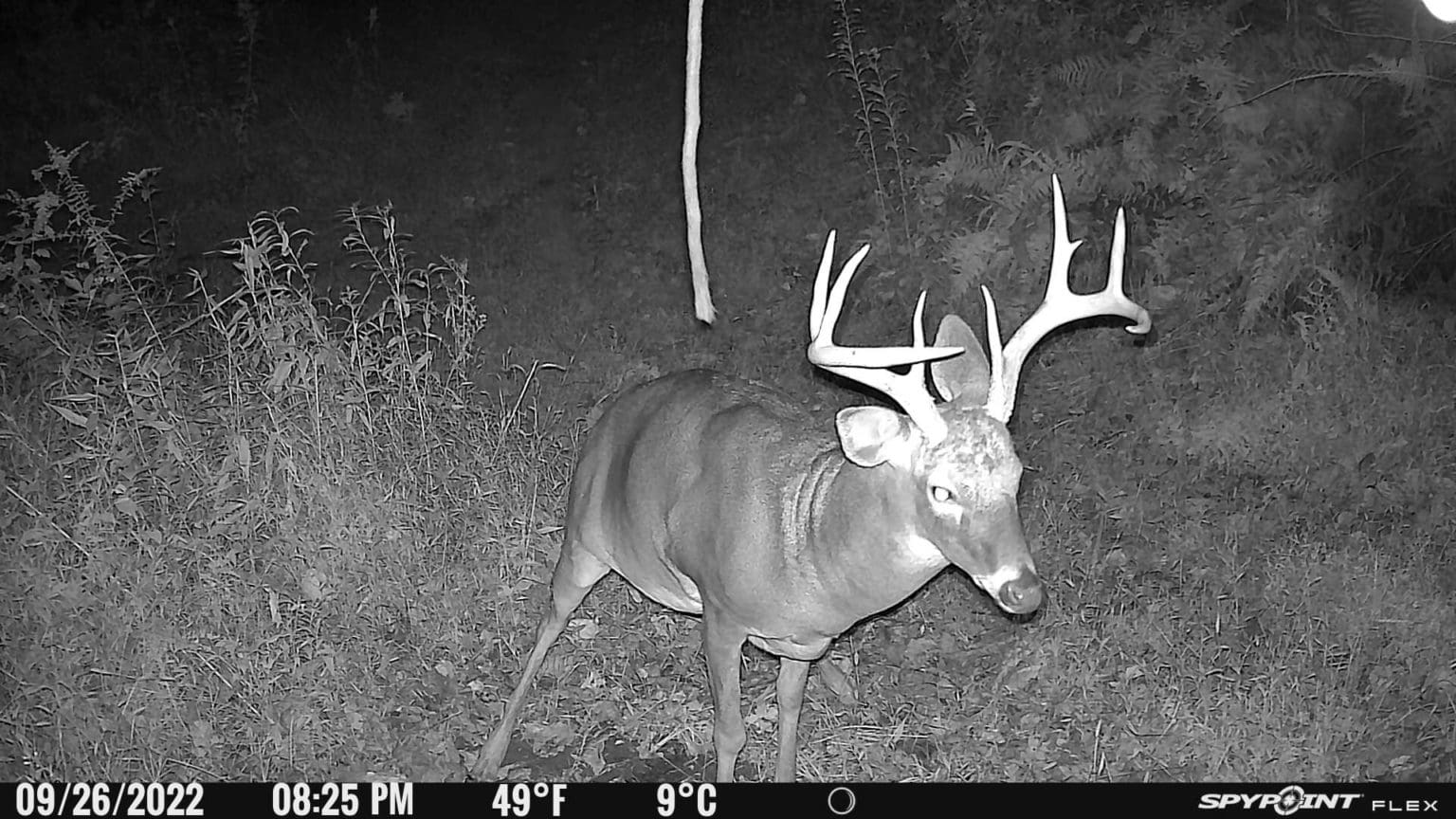 SPYPOINT FLEX Trail Camera Review