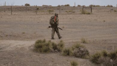 Hunting