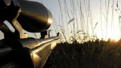 Hunting Rifle