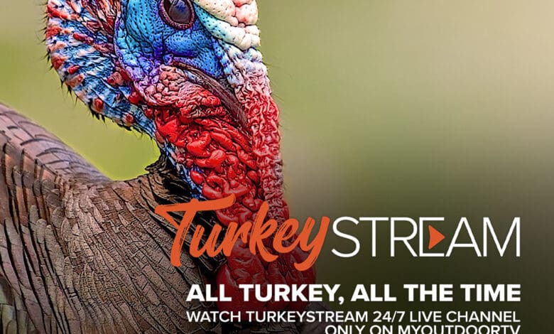 TurkeyStream