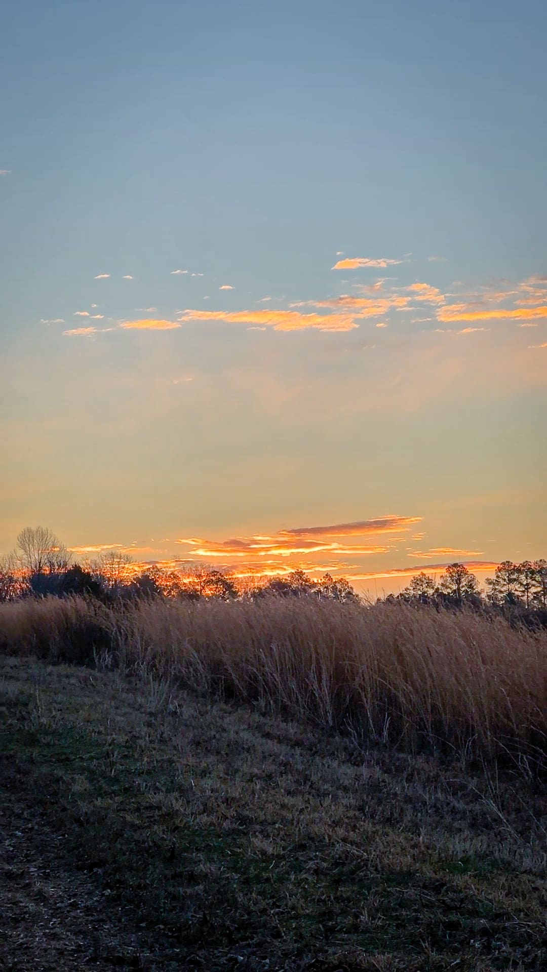 Tennessee Sunrise