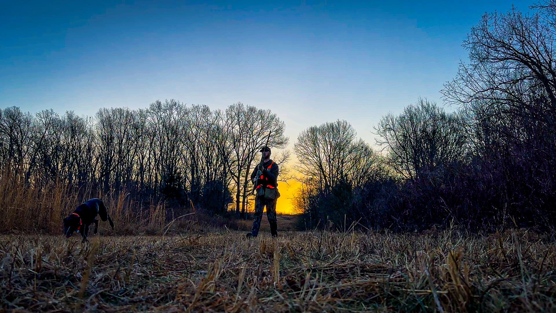 Tennessee Sunrise