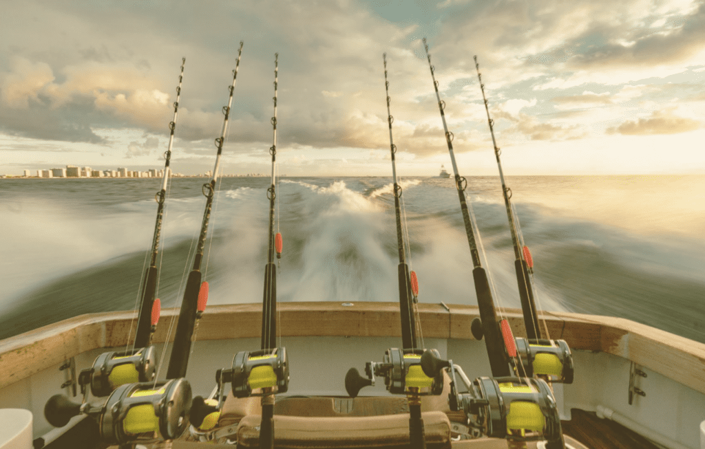 Why Guided Fishing Trips Are Must-Do Experiences