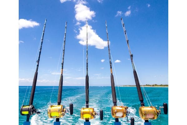 Cornell Cooperative Extension of Suffolk County Will Assist Lengthy Island For-Rent Fishing Fleets Modernize Their Information Assortment Techniques