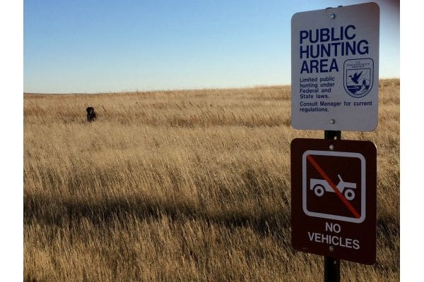 U.S. Fish and Wildlife Service Expands Searching Alternatives on Nationwide Wildlife Refuges