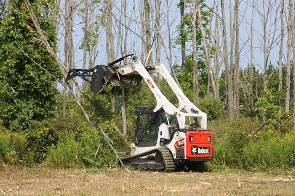 NWTF National Board of Directors Tour First Forests and Flocks Initiative Project