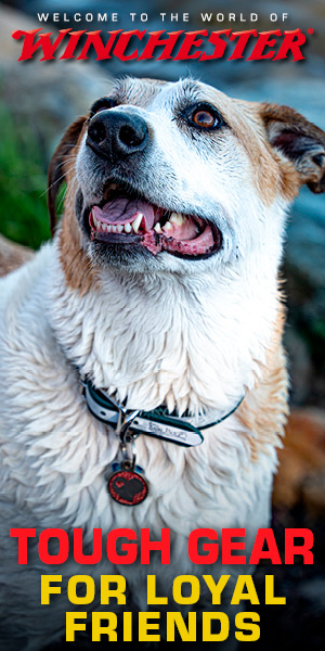 Winchester Pet