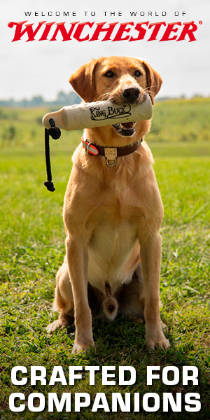 Winchester Pet