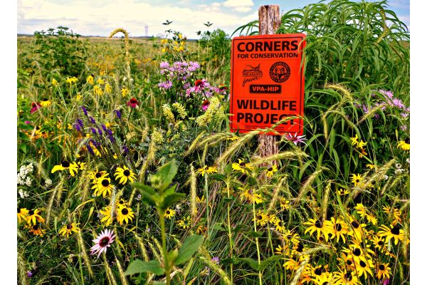 Voluntary Public Access Improvement Act Reintroduced Today in the U.S. House and Senate 