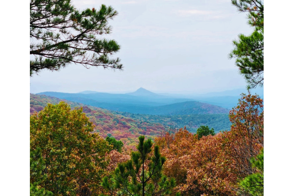 Legislation to Expand Arkansas Wilderness Would Advance Conservation for Generations to Come 