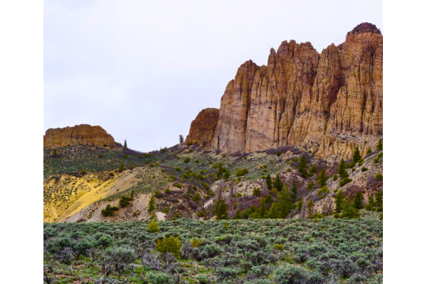 Reintroduction of CORE Act Renews Hope for Conservation of Colorado Public Lands and Wildlife Habitat 