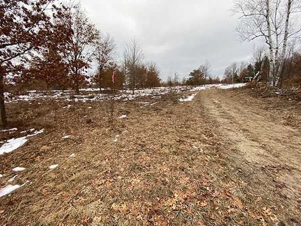 NWTF Michigan and Partners Fund Brood Habitat Enhancement Projects