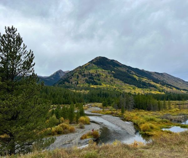 Reintroduced Senate Bill and New House Companion Bill Would Conserve More Than 700,000 Acres of Public Lands in Colorado 