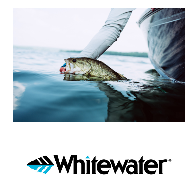 4 Ways to More Summer Reservoir Bass