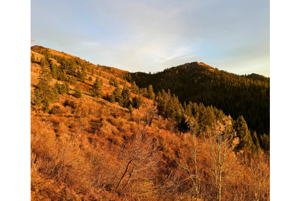 BHA Condemns Senate Proposal to Sell Off Up to 3 Million Acres of Public Lands 