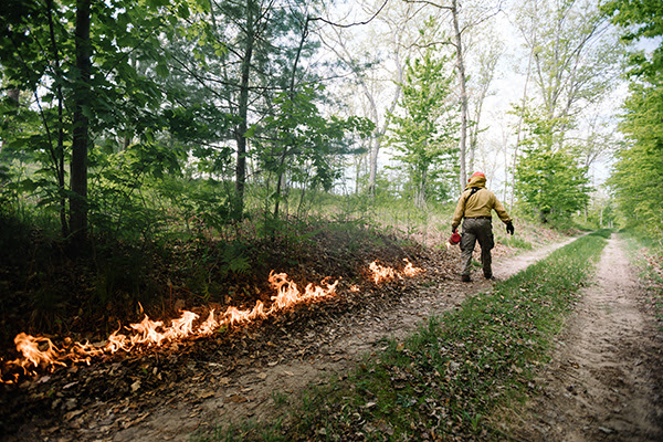 New Indiana House Bill Promotes Prescribed Fire for Conservation