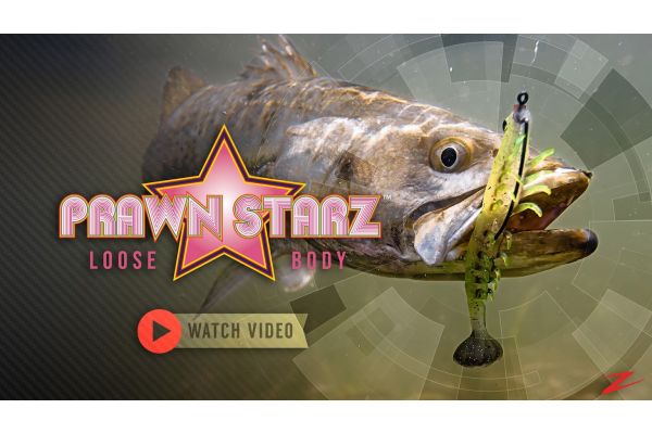 A StarZ Is Reborn