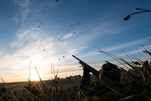 Ducks Unlimited welcomes Guns.com as their newest Proud Partner 