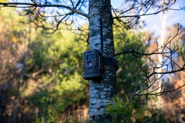 New Muddy Mitigator 2.0 Cellular Trail Camera Delivers Photos and Videos On Demand Via the Command Pro App